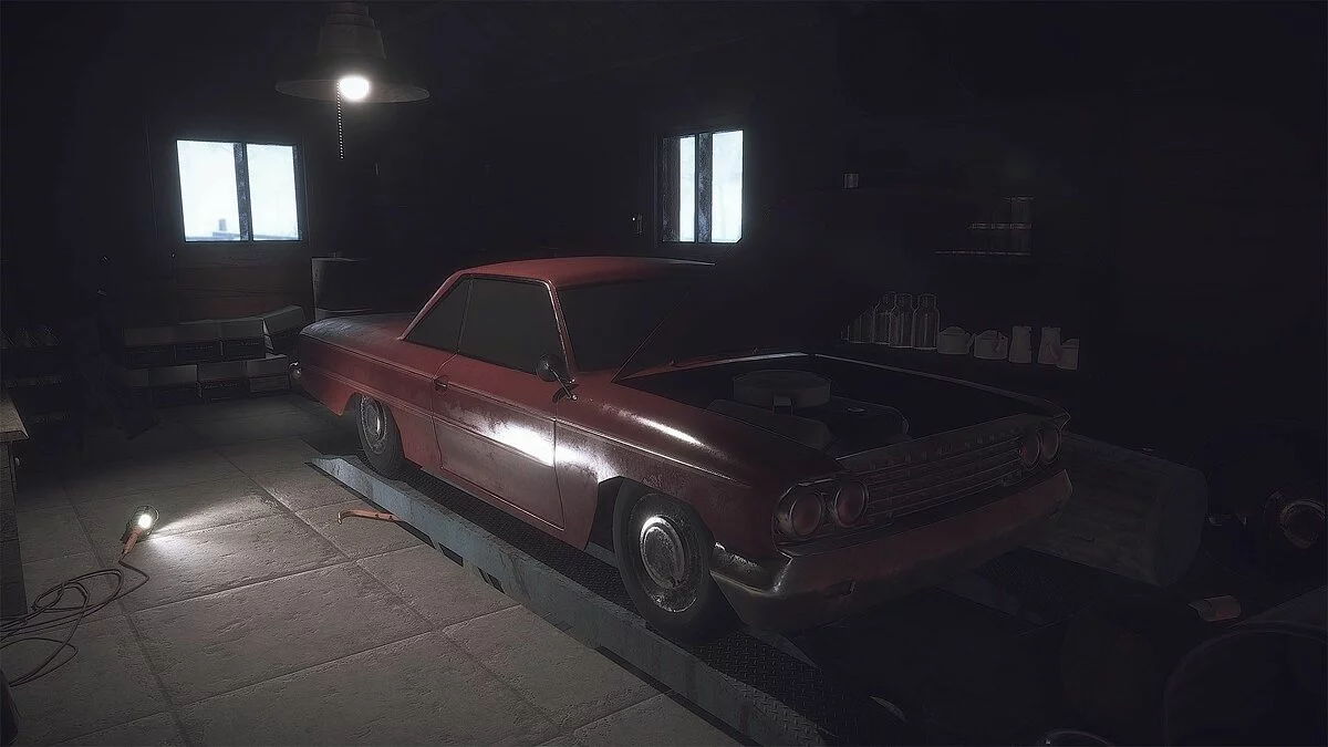 Скриншот из игры Kona - 37