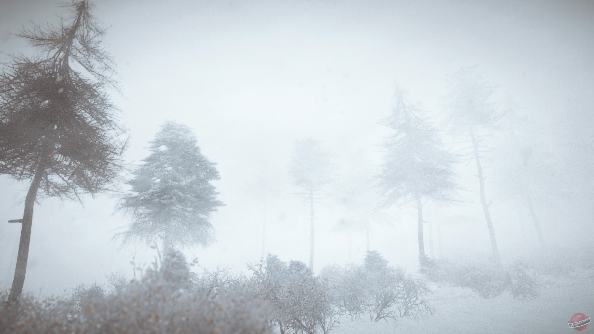 Скриншот из игры Kona - 61