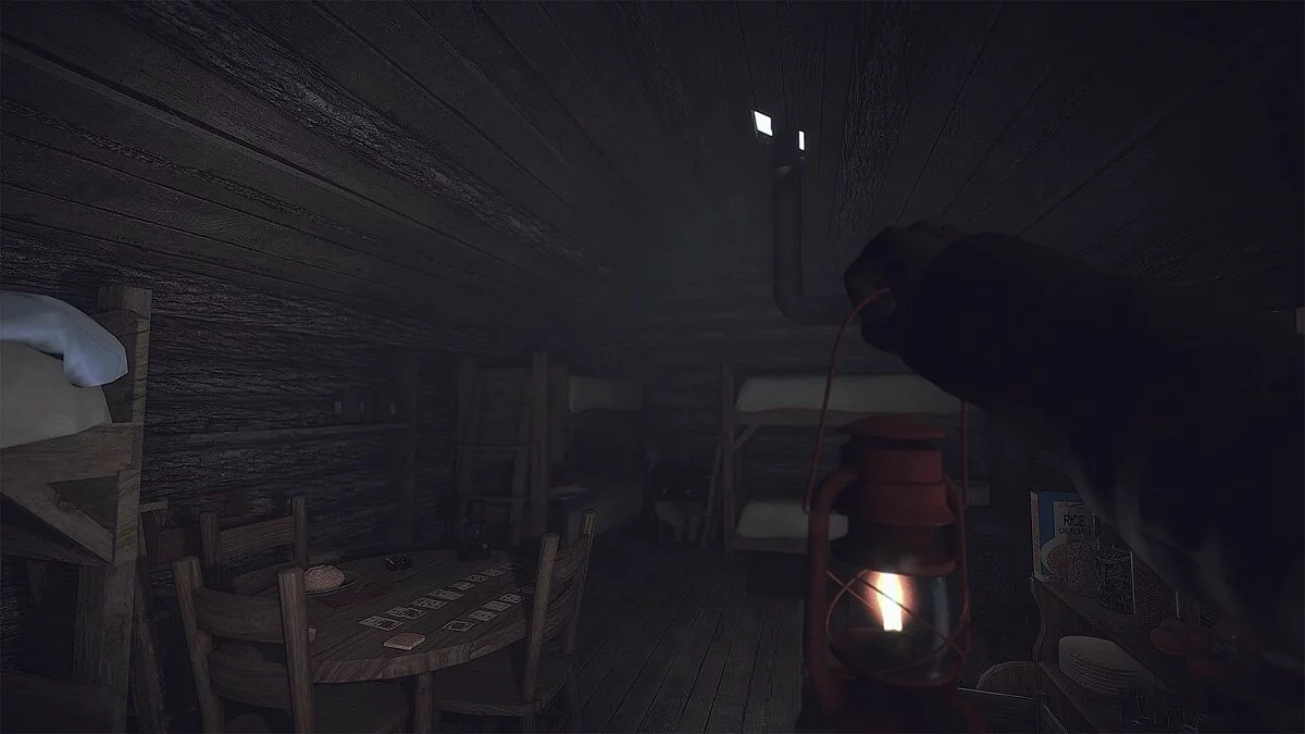 Скриншот из игры Kona - 55