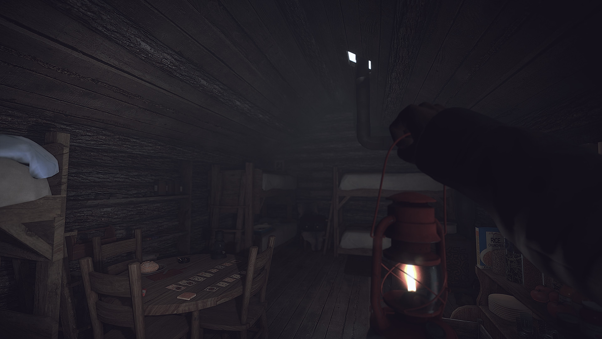 Скриншот из игры Kona - 38