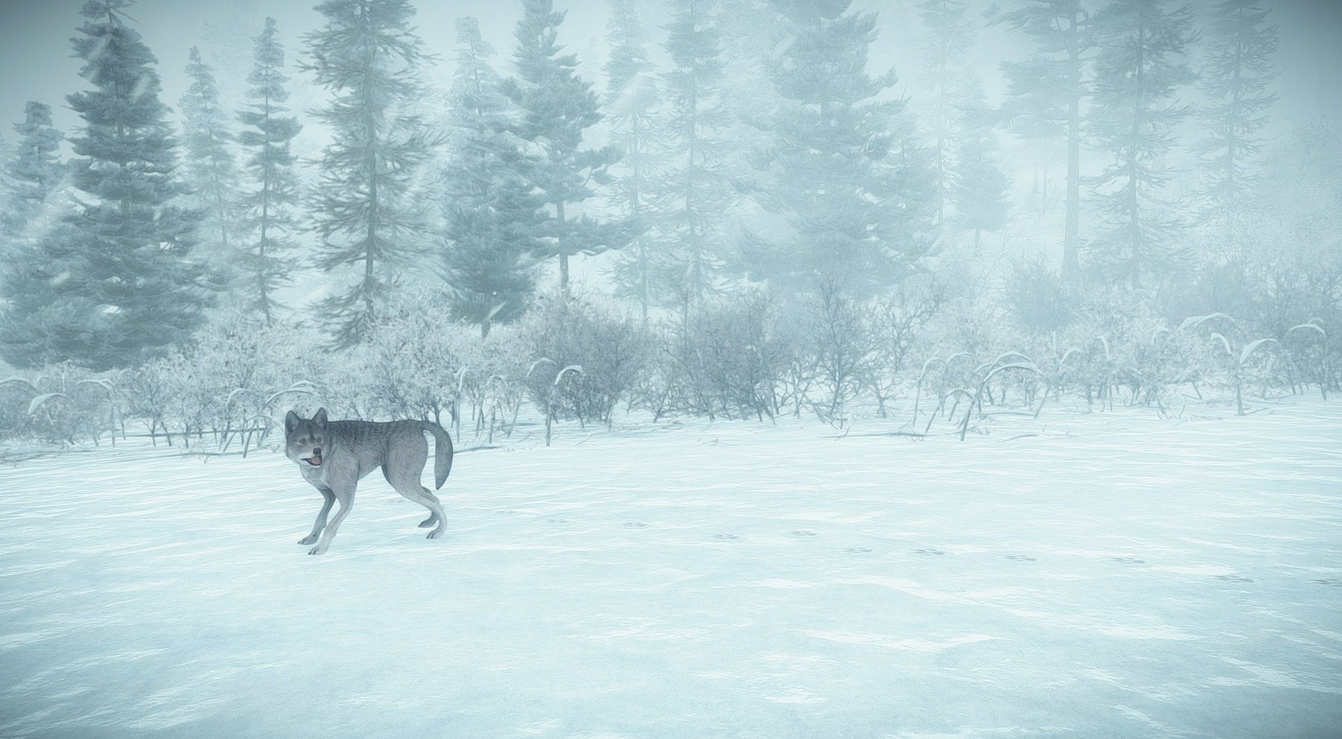 Скриншот из игры Kona - 14