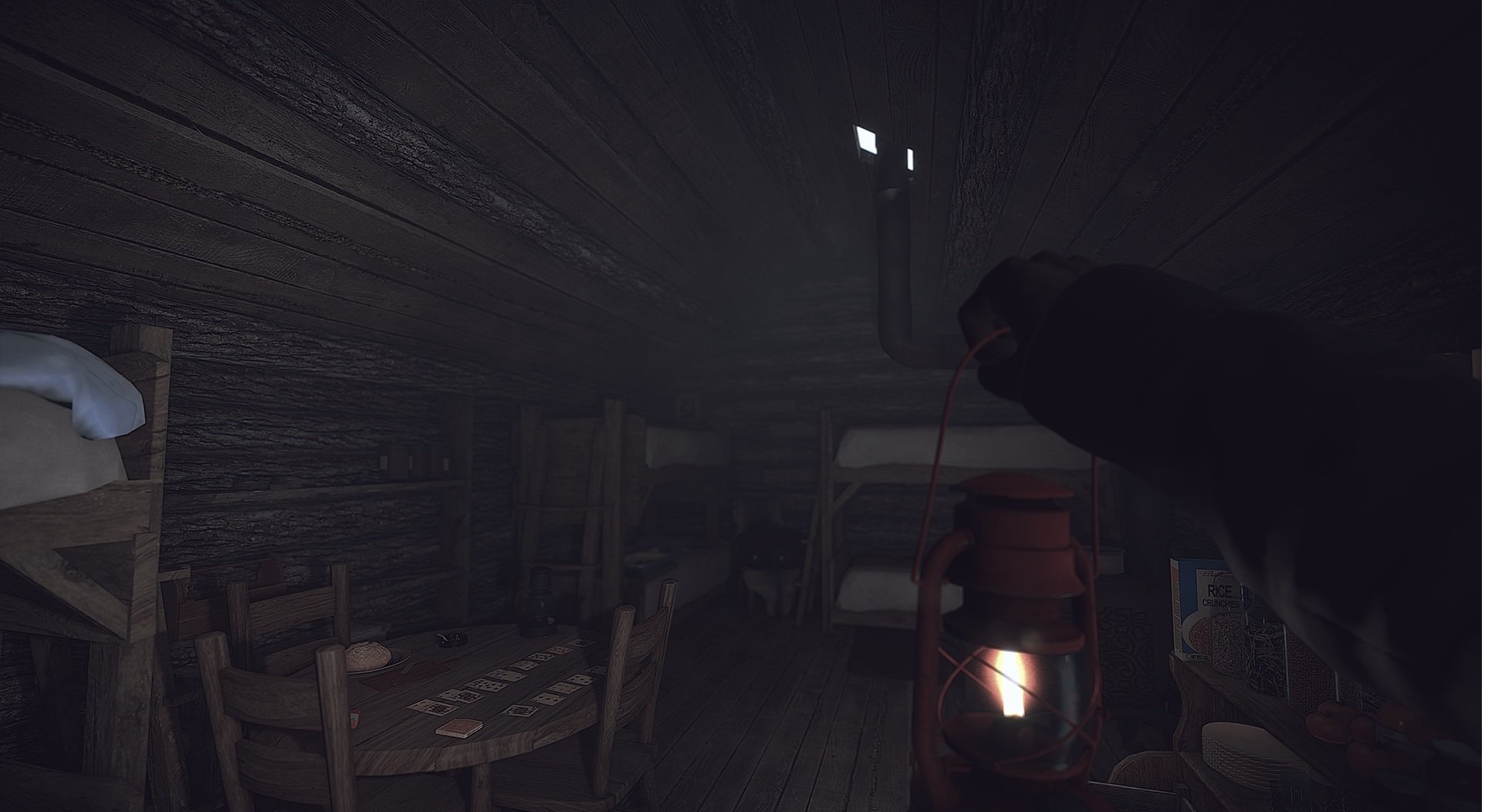 Скриншот из игры Kona - 22