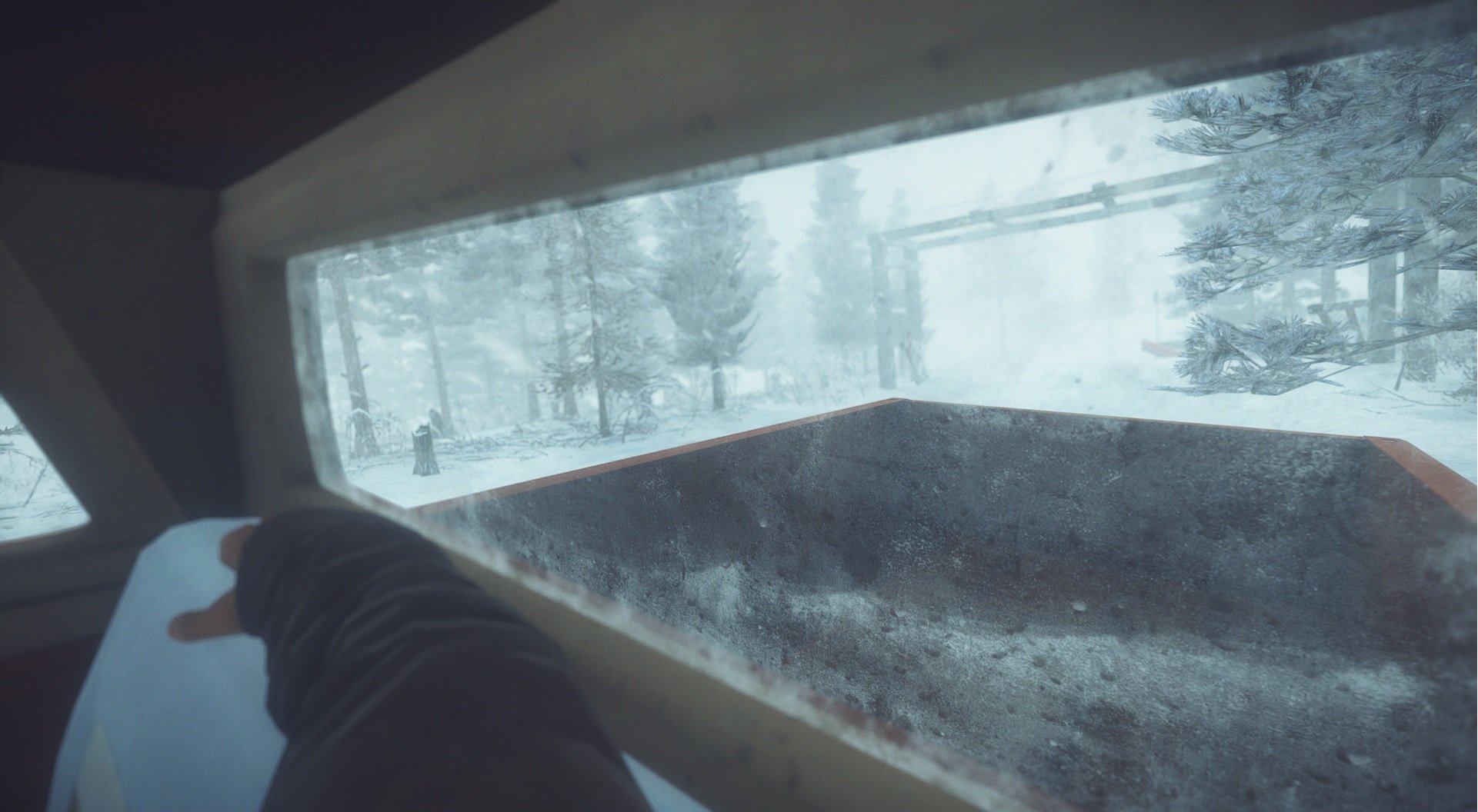 Скриншот из игры Kona - 29