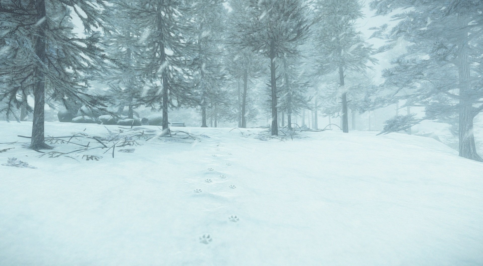 Скриншот из игры Kona - 30