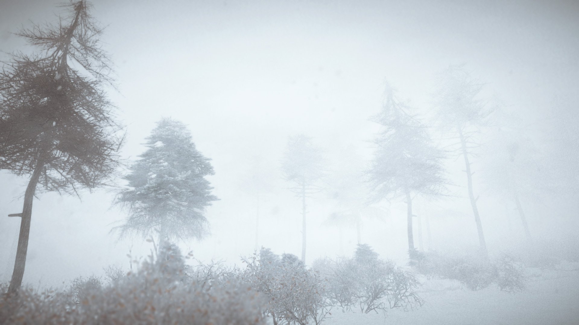 Скриншот из игры Kona - 34