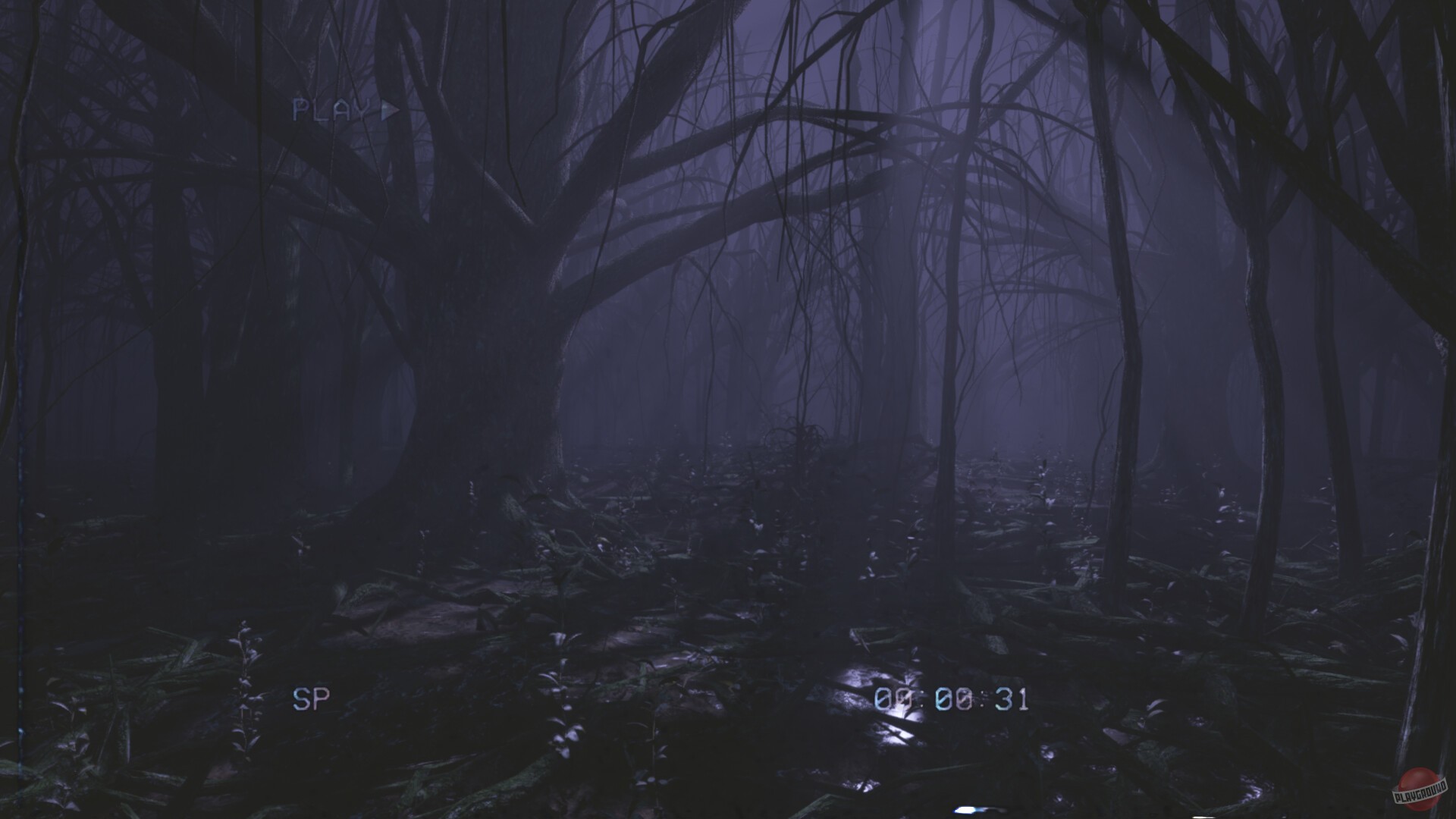 Скриншот из игры Backrooms Media - 3