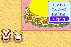 Скриншот из игры Hamtaro: Ham-Ham Heartbreak - 7