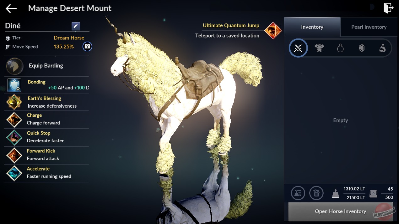 Скриншот из игры Black Desert Mobile - 7