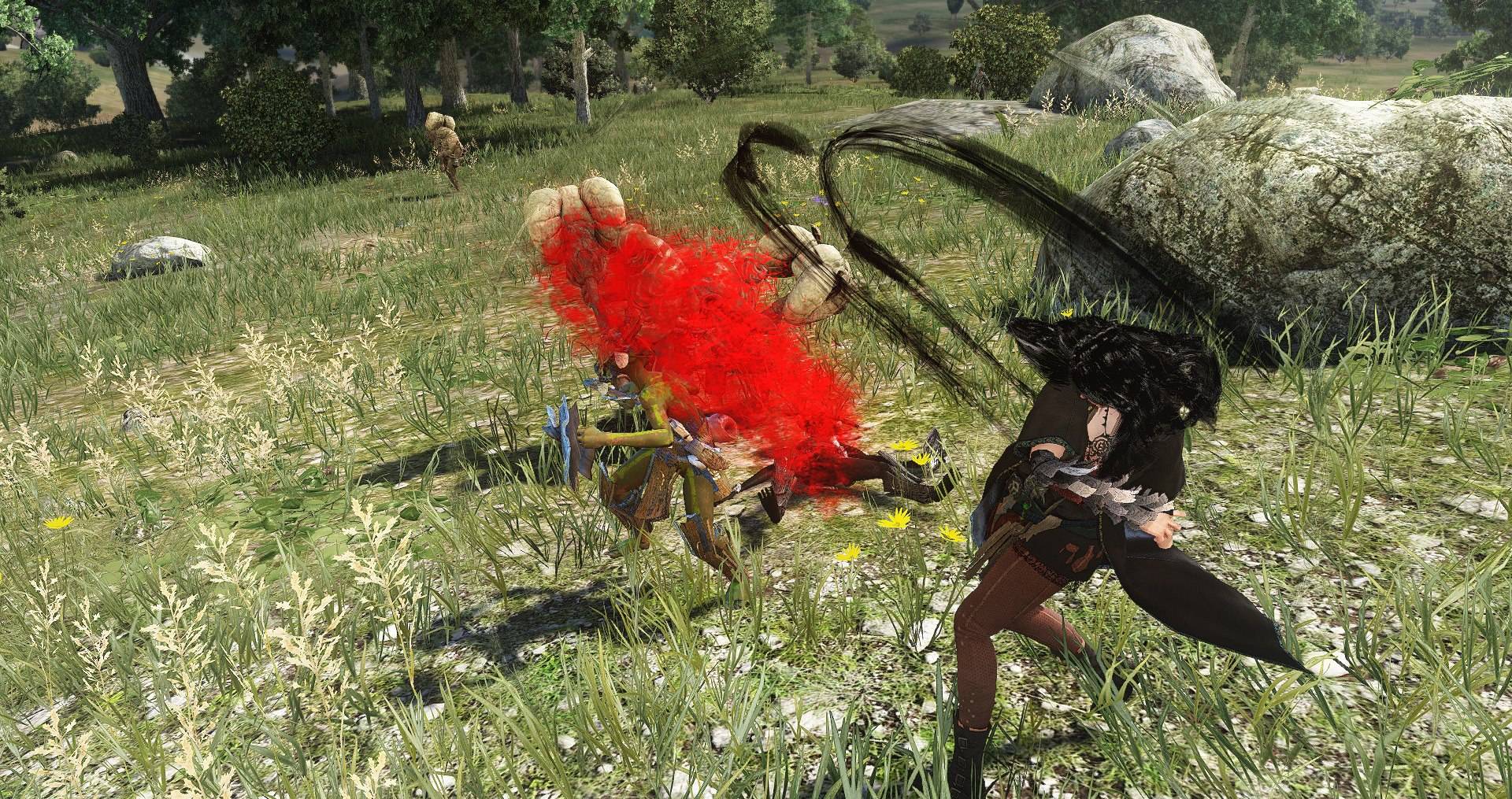 Скриншот из игры Black Desert - 217