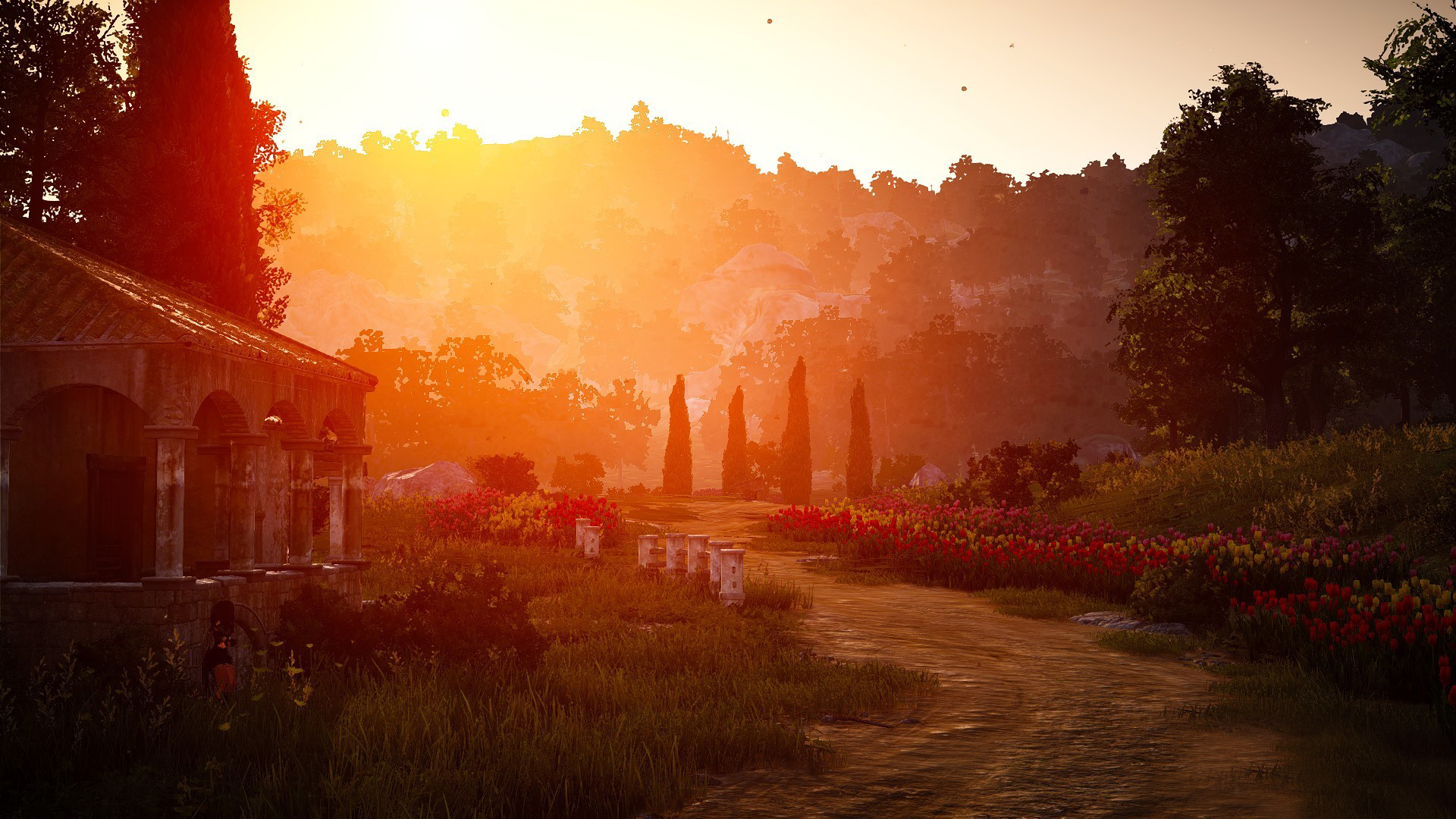 Скриншот из игры Black Desert - 176