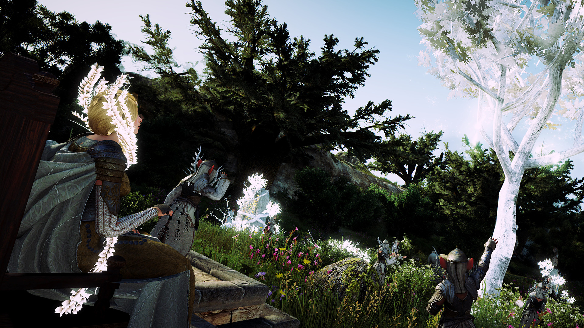 Скриншот из игры Black Desert - 199