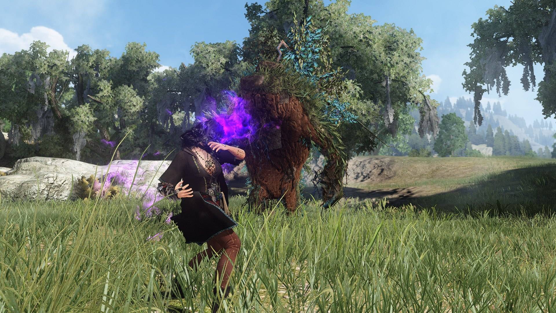 Скриншот из игры Black Desert - 164