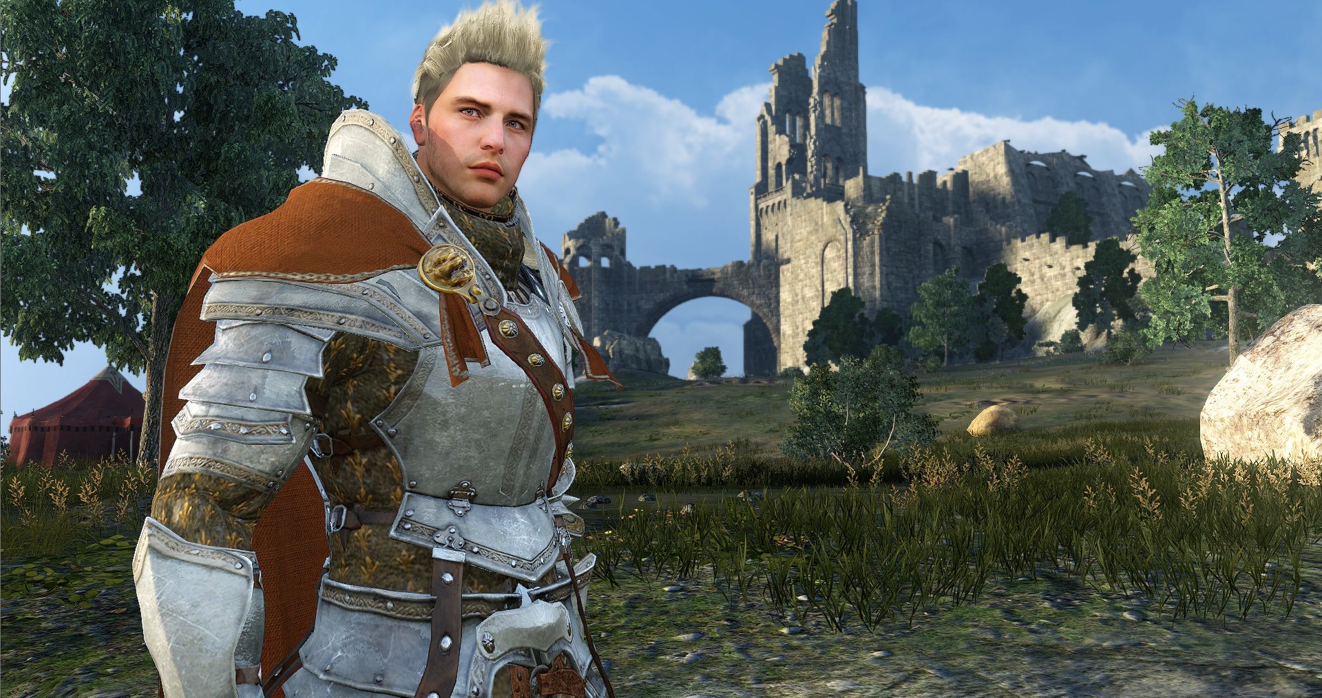 Скриншот из игры Black Desert - 193