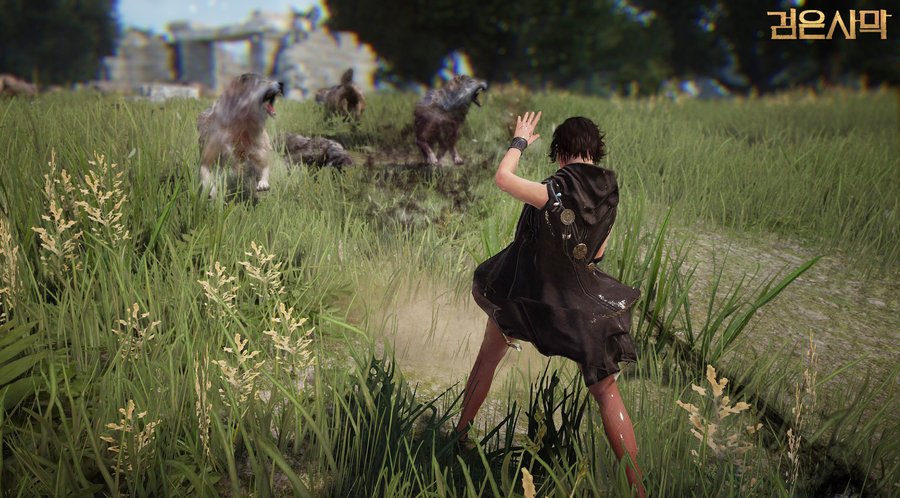 Скриншот из игры Black Desert - 11