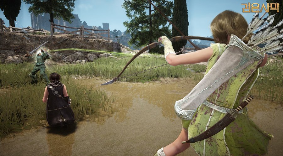 Скриншот из игры Black Desert - 13