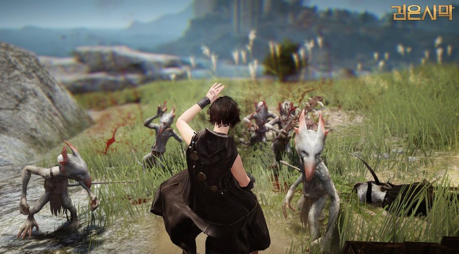 Скриншот из игры Black Desert - 14