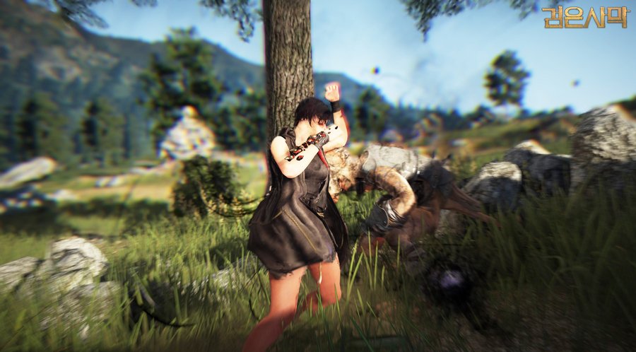 Скриншот из игры Black Desert - 16