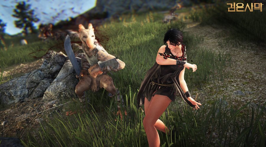 Скриншот из игры Black Desert - 17