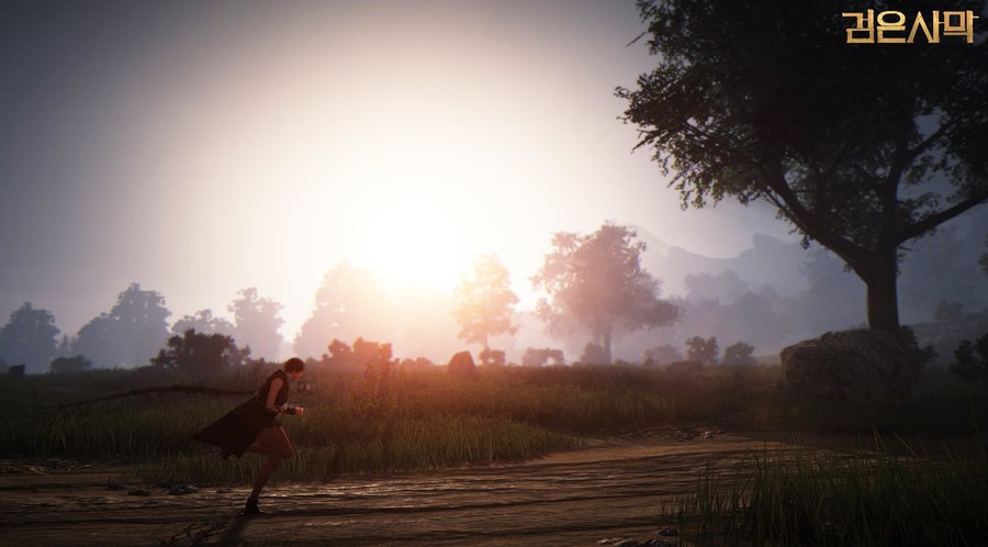 Скриншот из игры Black Desert - 24