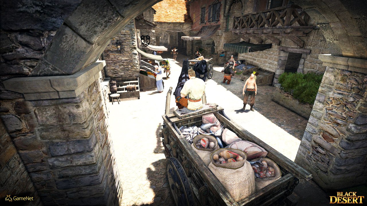 Скриншот из игры Black Desert - 25