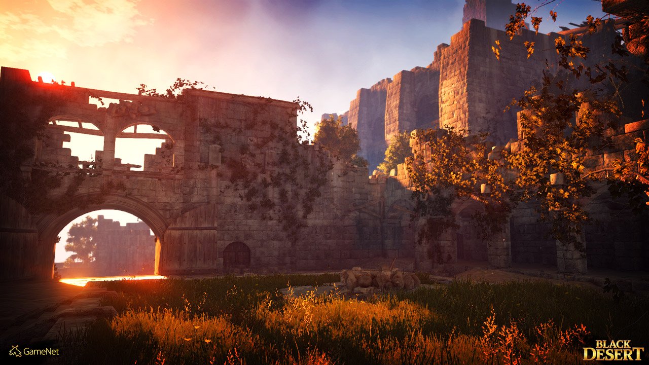 Скриншот из игры Black Desert - 35