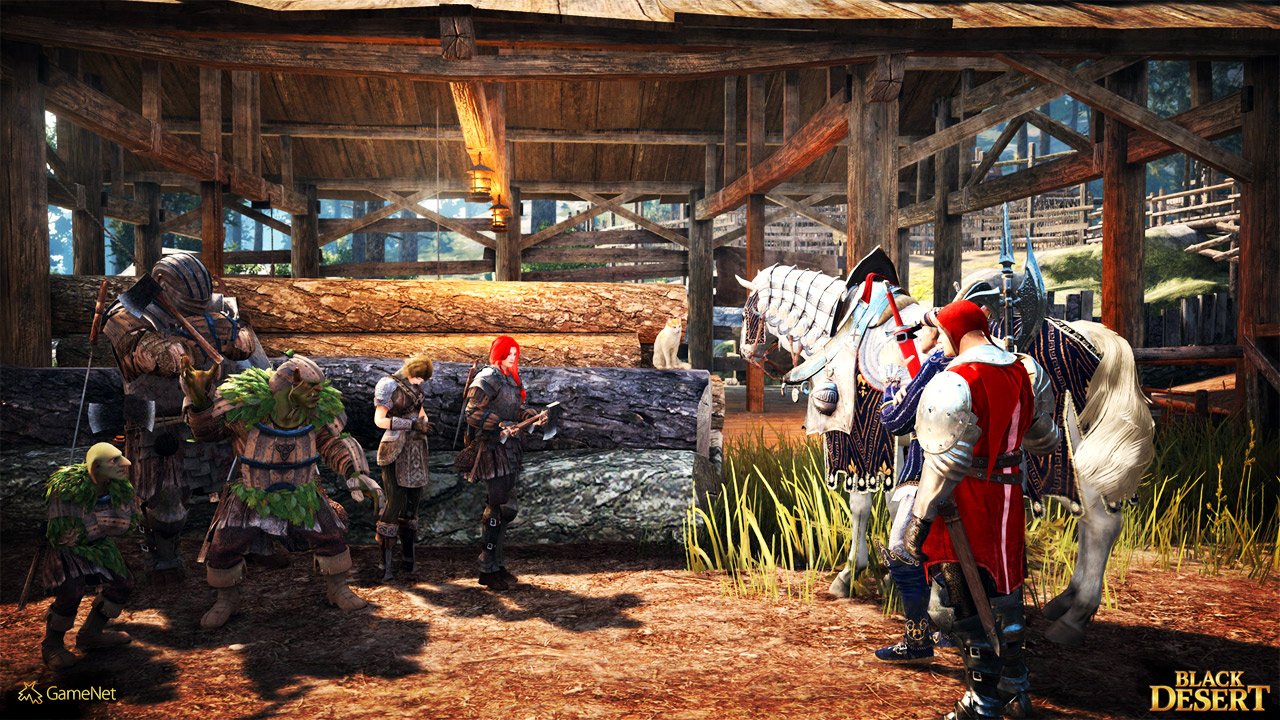 Скриншот из игры Black Desert - 38