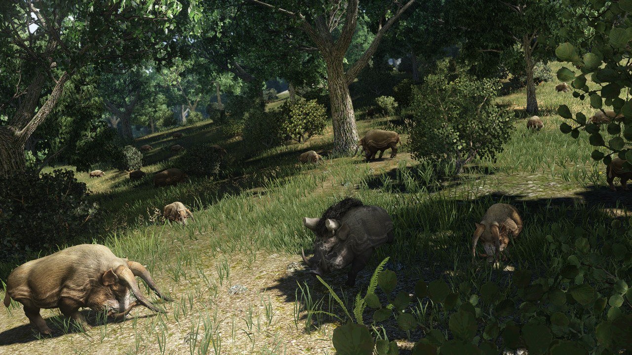 Скриншот из игры Black Desert - 70
