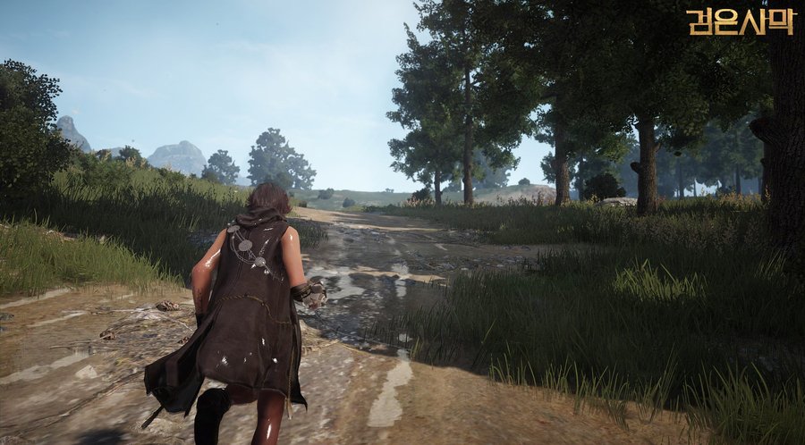 Скриншот из игры Black Desert - 8