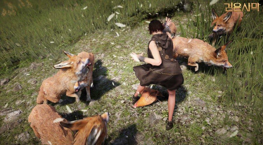 Скриншот из игры Black Desert - 10