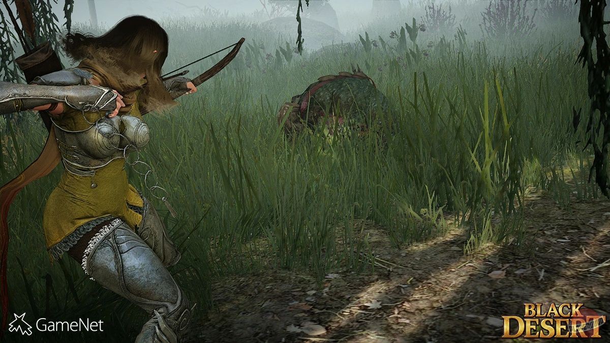 Скриншот из игры Black Desert - 188