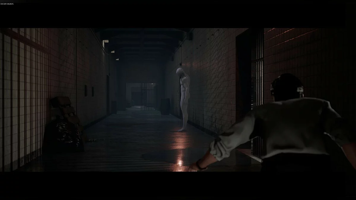 Скриншот из игры Past Cure - 24