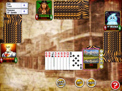 Скриншот из игры Reel Deal Card Games '09 - 4