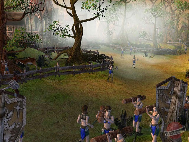 Скриншот из игры SpellForce: The Order of Dawn - 25