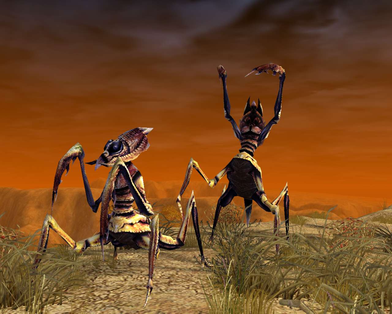 Скриншот из игры SpellForce: The Shadow of the Phoenix - 19