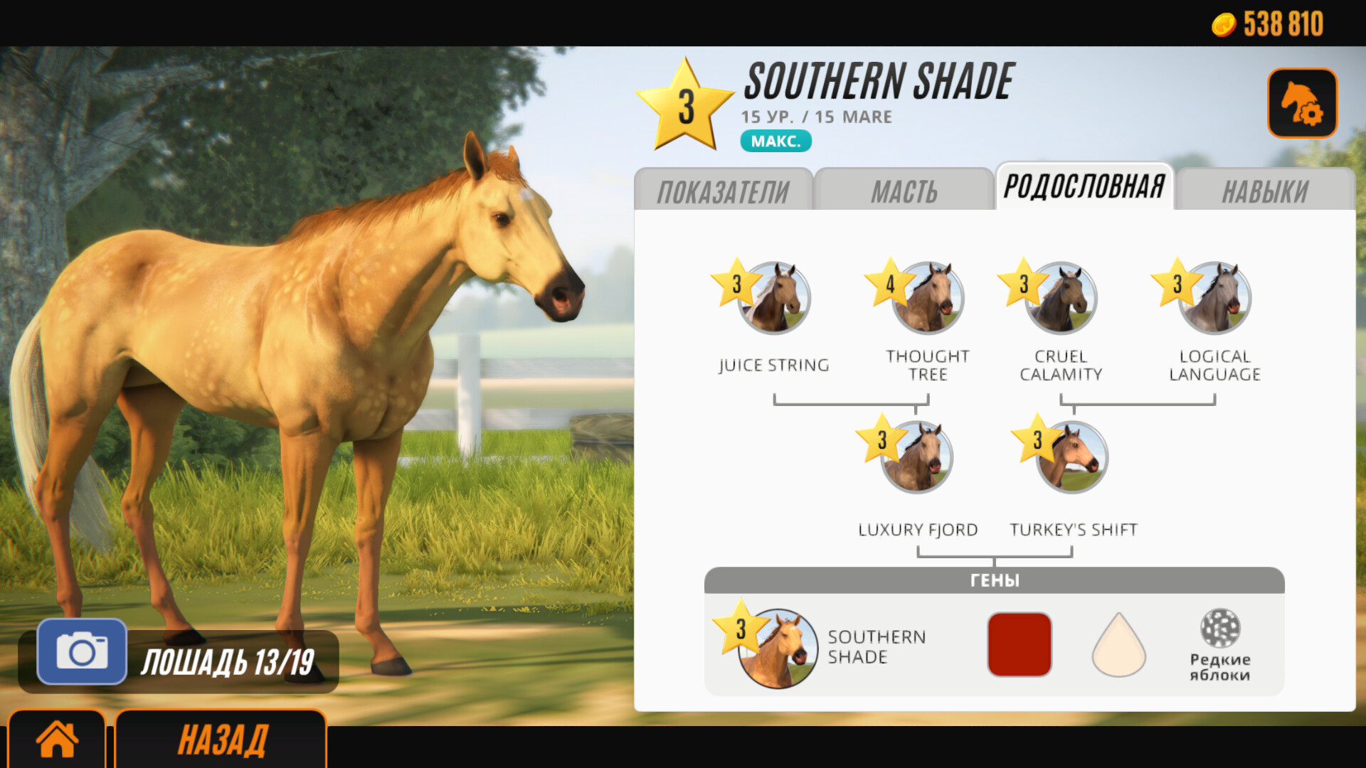 Скриншот из игры Rival Stars Horse Racing - 5
