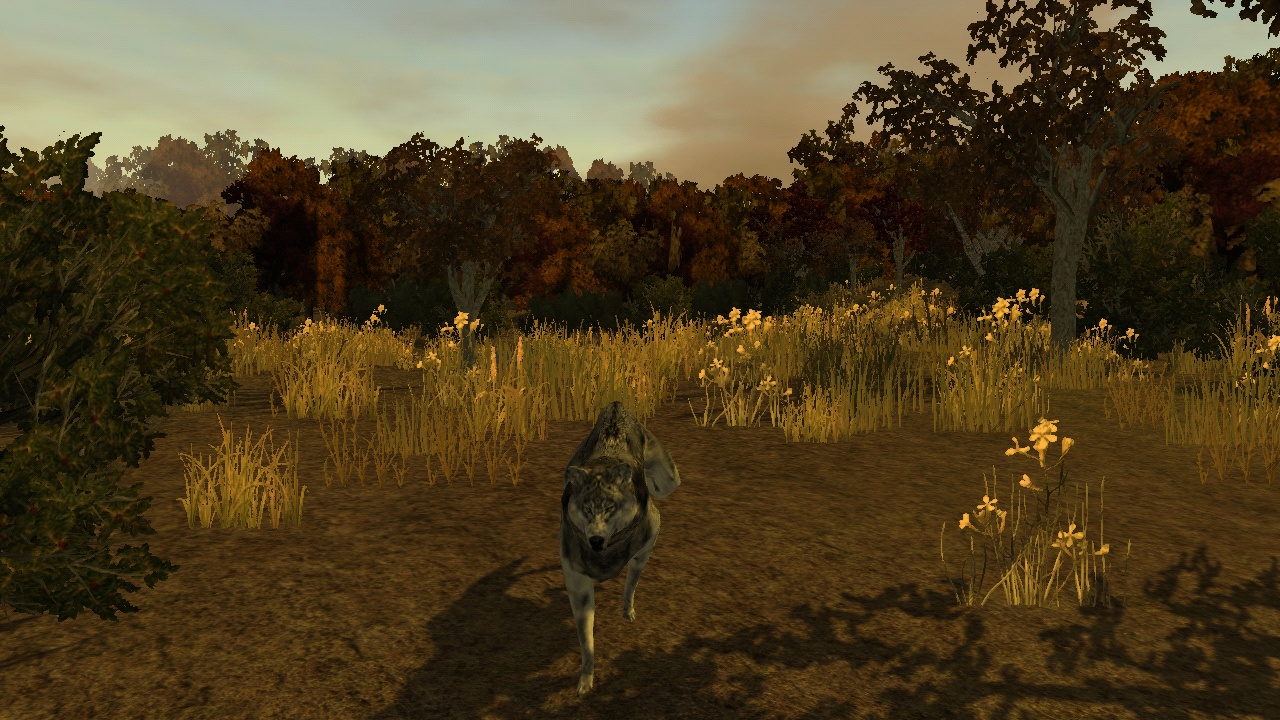 Скриншот из игры Bass Pro Shops: The Hunt - 26