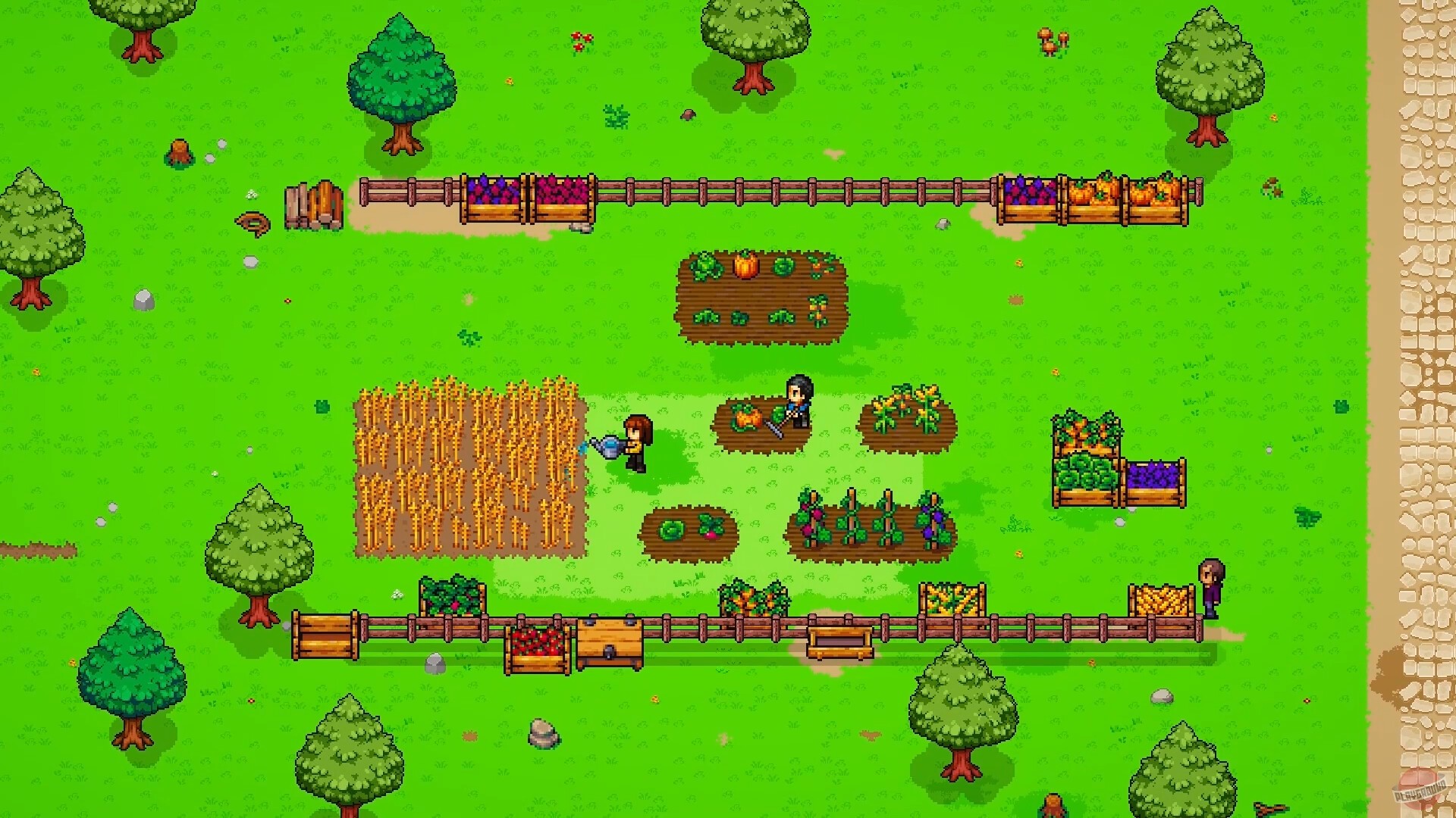 Скриншот из игры To Pixelia - 10