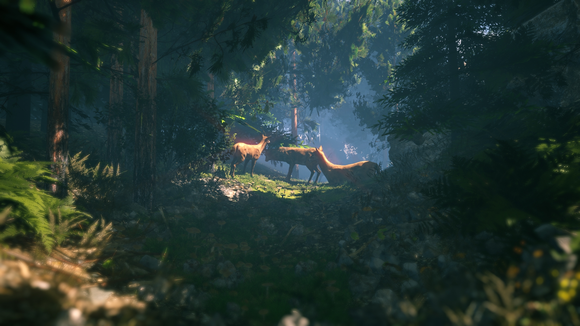 Скриншот из игры FlowScape - 63