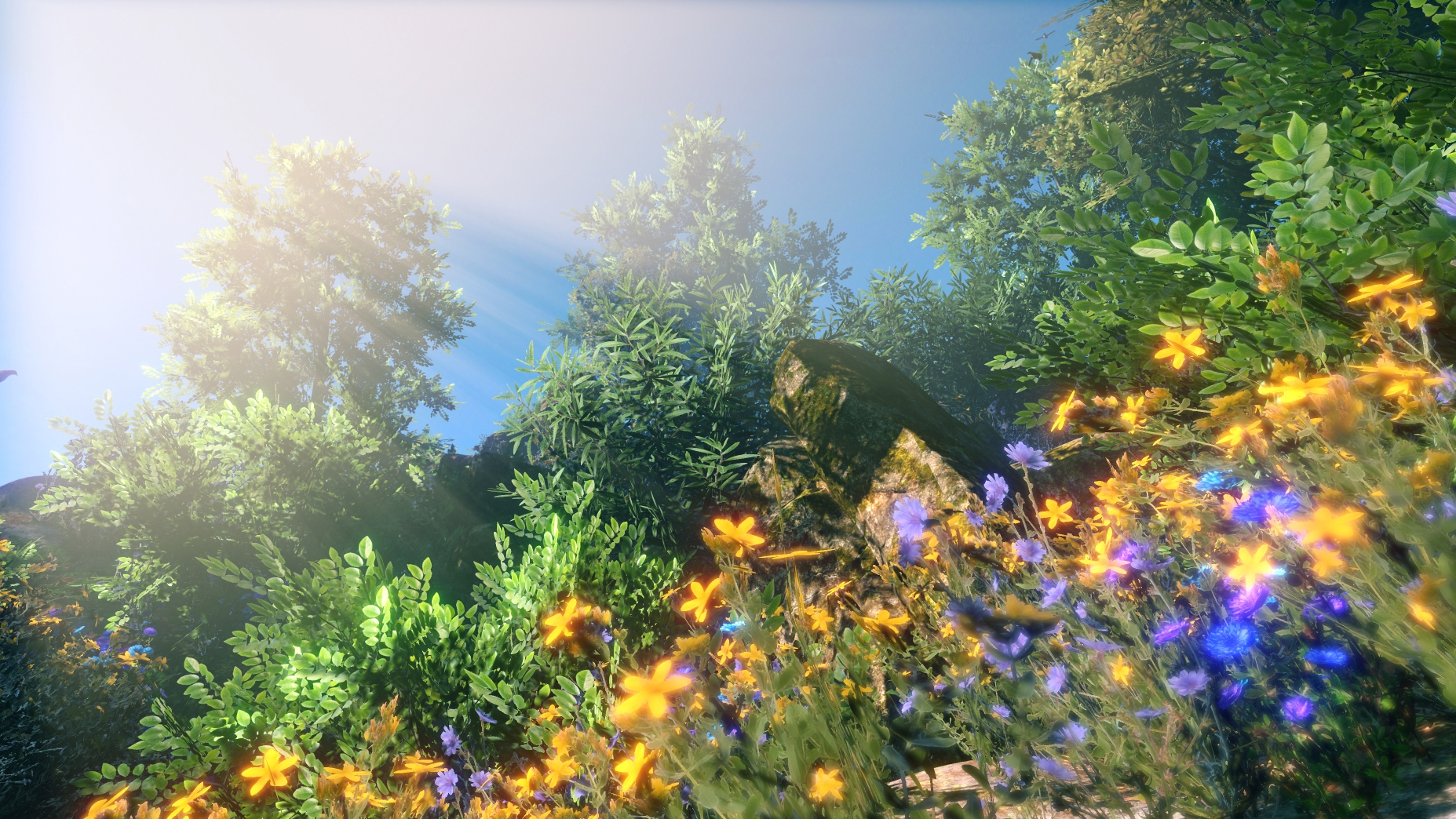 Скриншот из игры FlowScape - 49