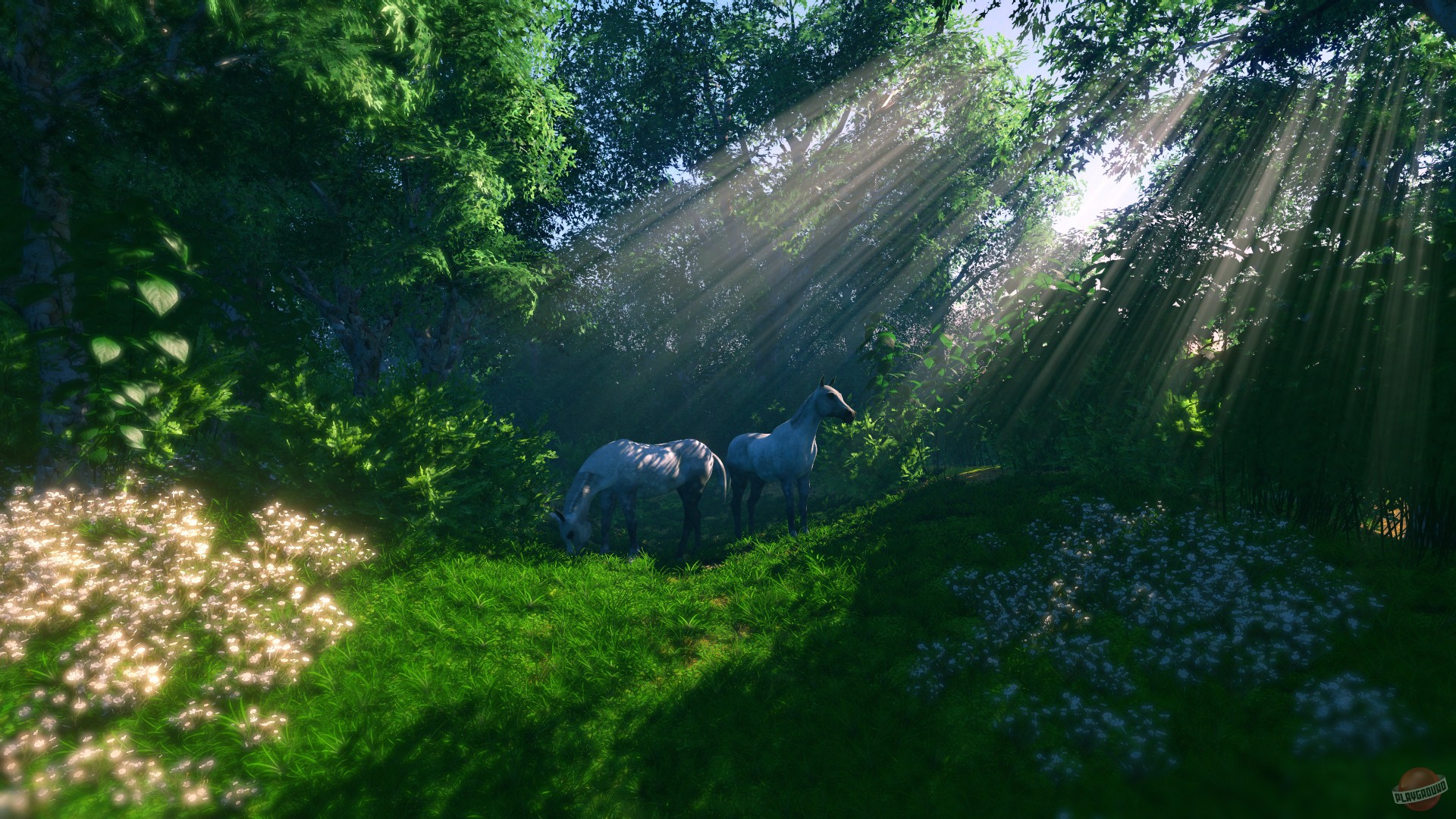 Скриншот из игры FlowScape - 28