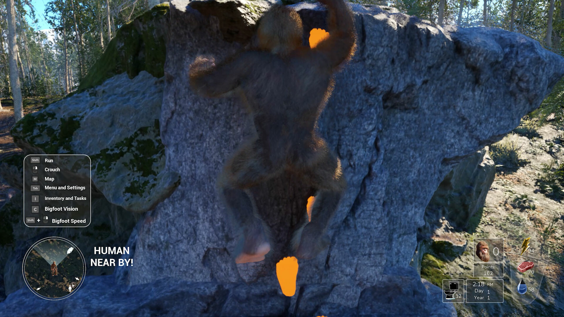 Скриншот из игры Bigfoot Life - 27