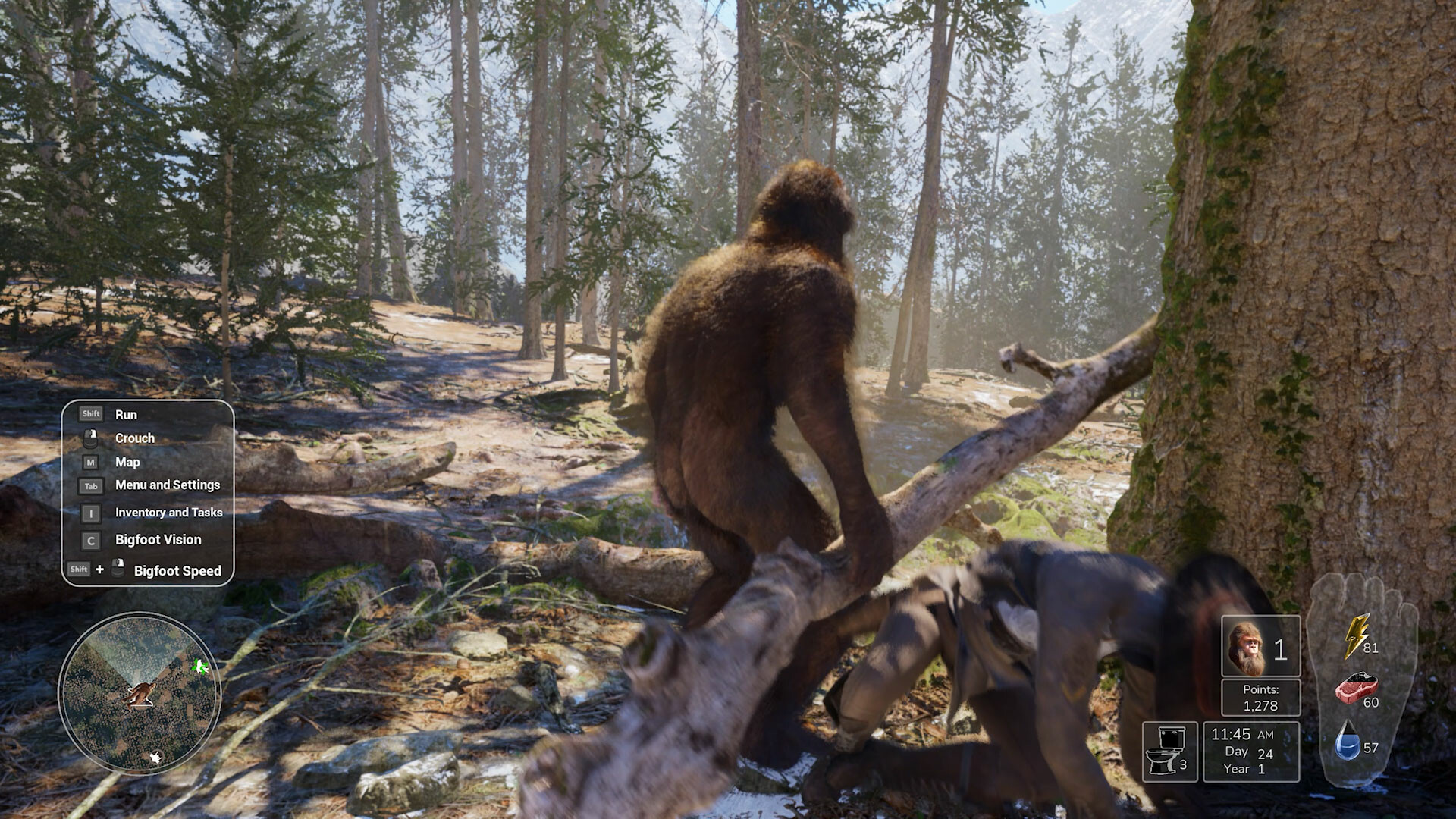 Скриншот из игры Bigfoot Life - 34