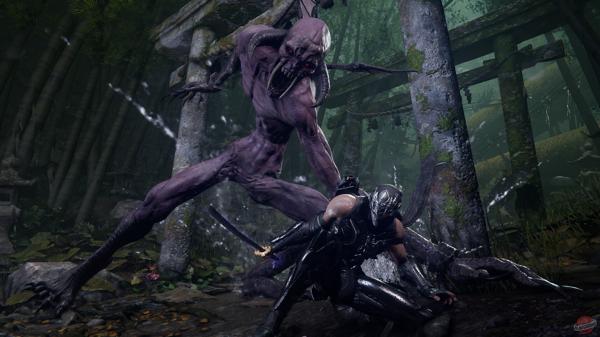 Скриншот из игры Ninja Gaiden 4 - 23