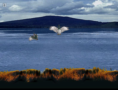 Скриншот из игры Big Buck Hunter - 9