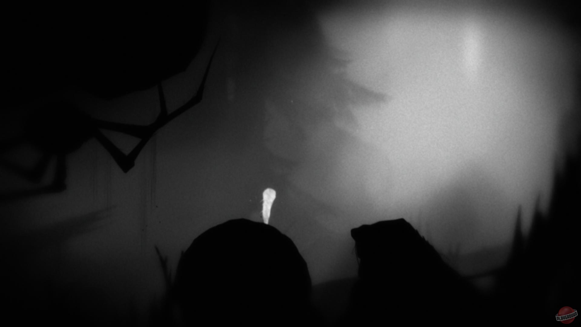 Скриншот из игры Limbo - 38