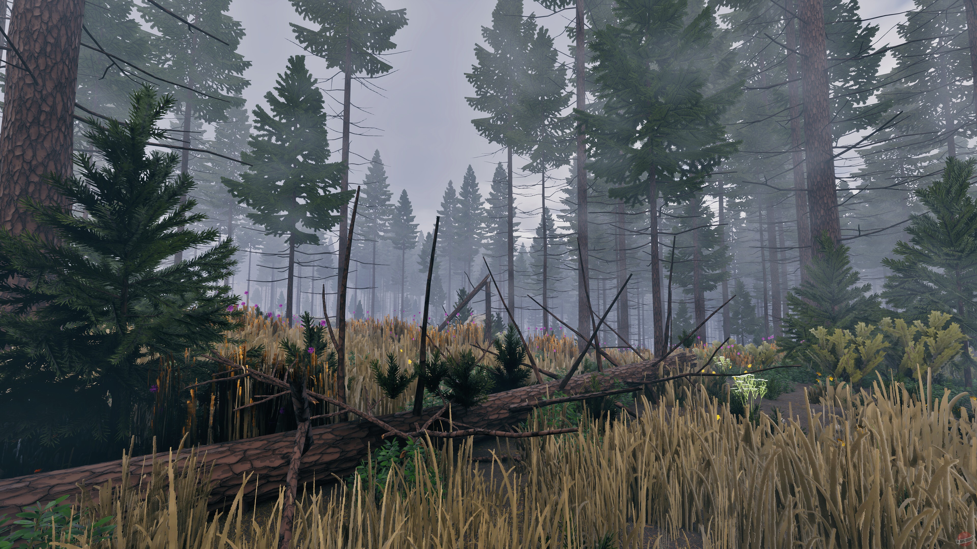 Скриншот из игры Prologue: Go Wayback! - 10