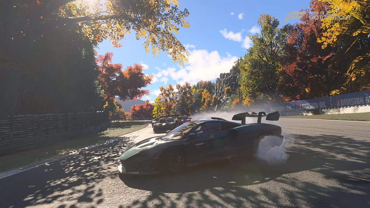 Скриншот из игры Forza Motorsport - 28