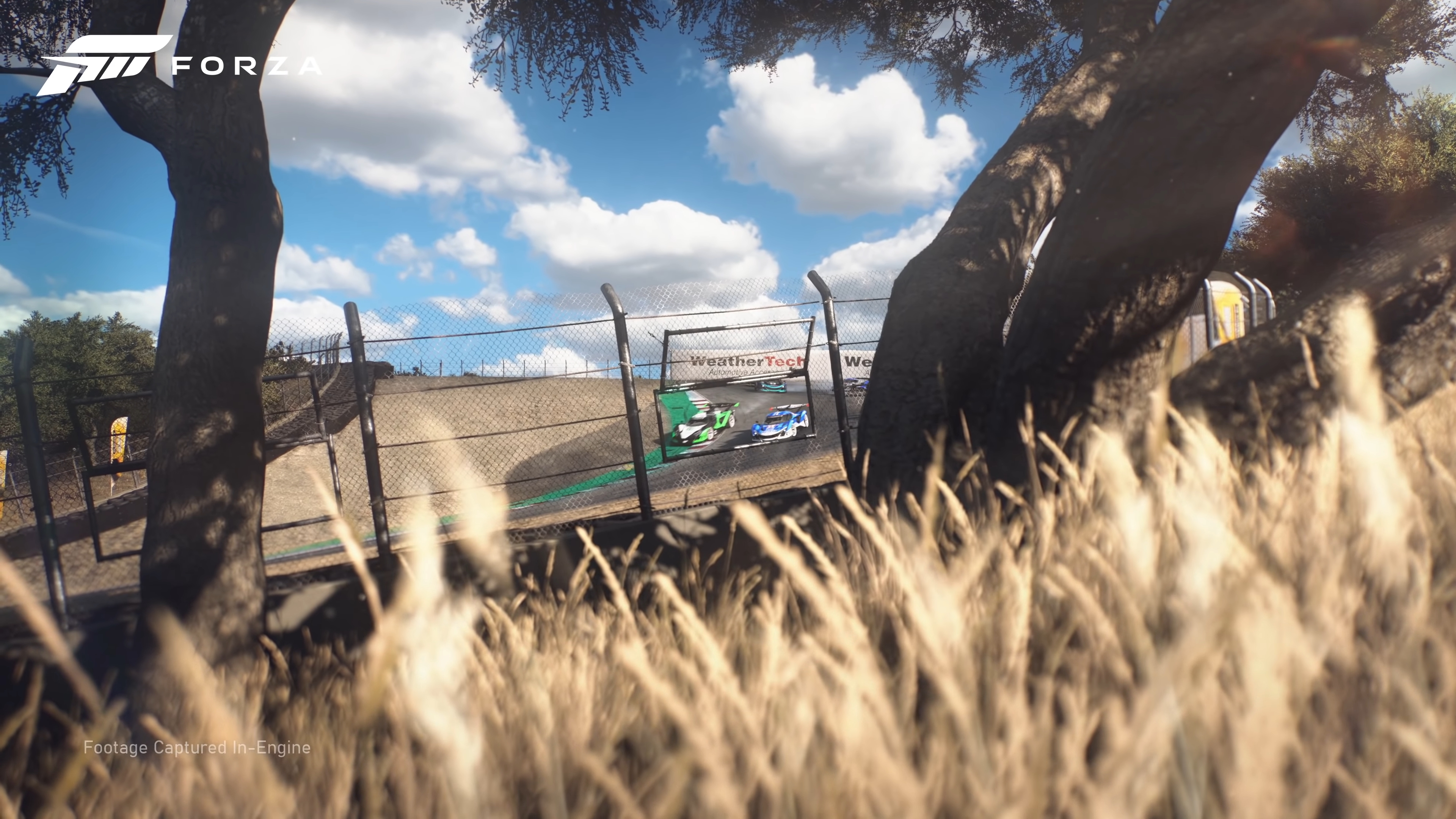 Скриншот из игры Forza Motorsport - 13
