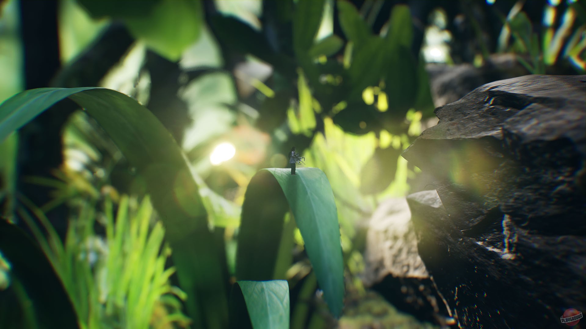 Скриншот из игры Big Earth - 3