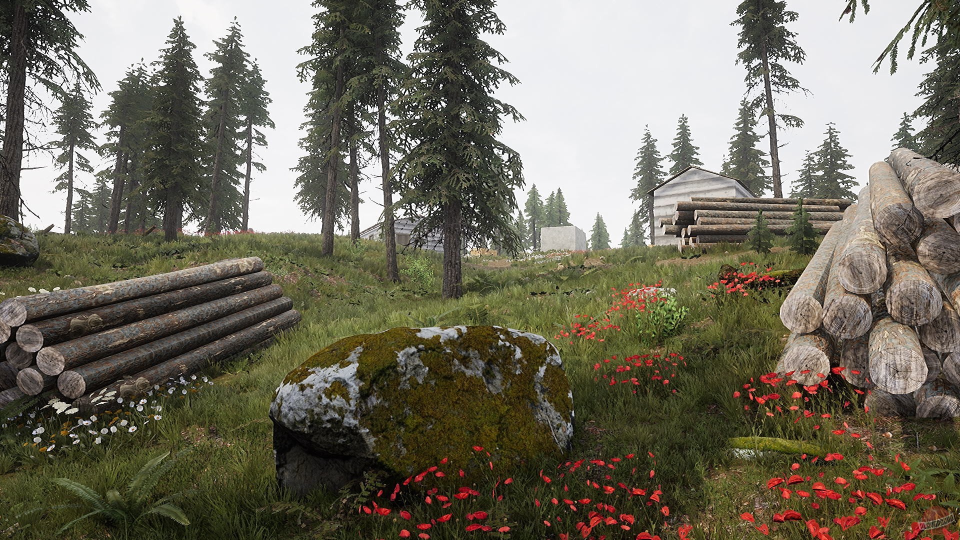 Скриншот из игры Beyond Enemy Lines 2 - 25